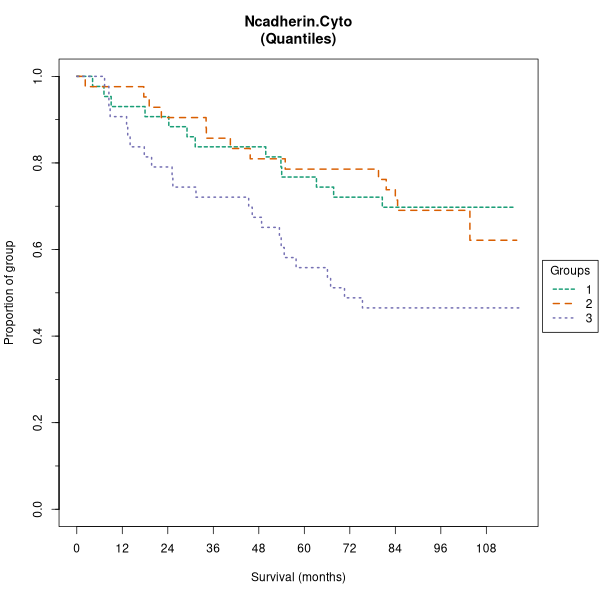 Ncadherin.Cyto (Kaplan-Meier (tertile) plots on Breast Cancer 1 (AQUA) dataset)