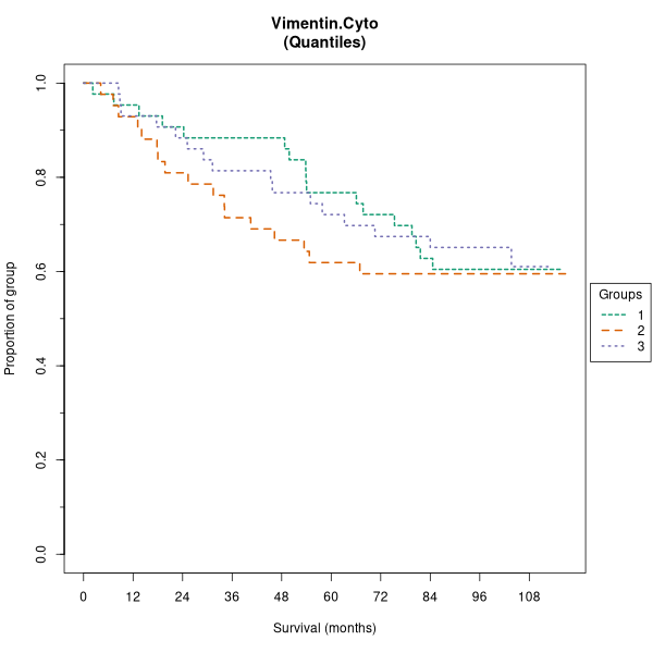 Vimentin.Cyto (Kaplan-Meier (tertile) plots on Breast Cancer 1 (AQUA) dataset)
