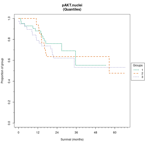 pAKT.nuclei (Kaplan-Meier (tertile) plots on Breast Cancer 3 (IHC quickscore) dataset)