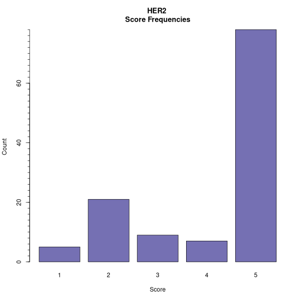 HER2 (Histograms on Breast Cancer 3 (IHC, 5 levels) dataset)