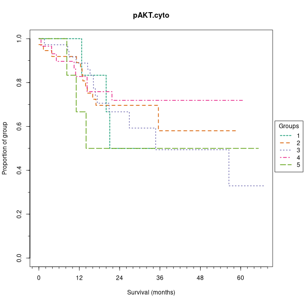 pAKT.cyto (Kaplan-Meier (categorical) plots on Breast Cancer 3 (IHC, 5 levels) dataset)