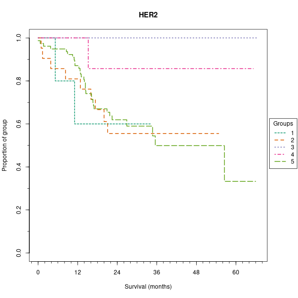 HER2 (Kaplan-Meier (categorical) plots on Breast Cancer 3 (IHC, 5 levels) dataset)